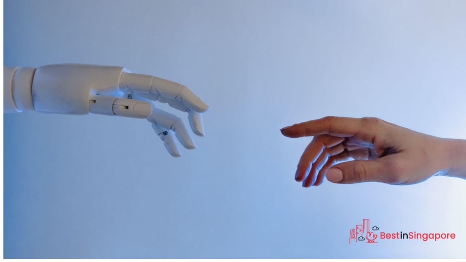Food Delivered by Robots
