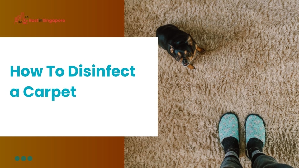 How to Disinfect a Carpet