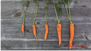 It can address Vitamin A deficiency