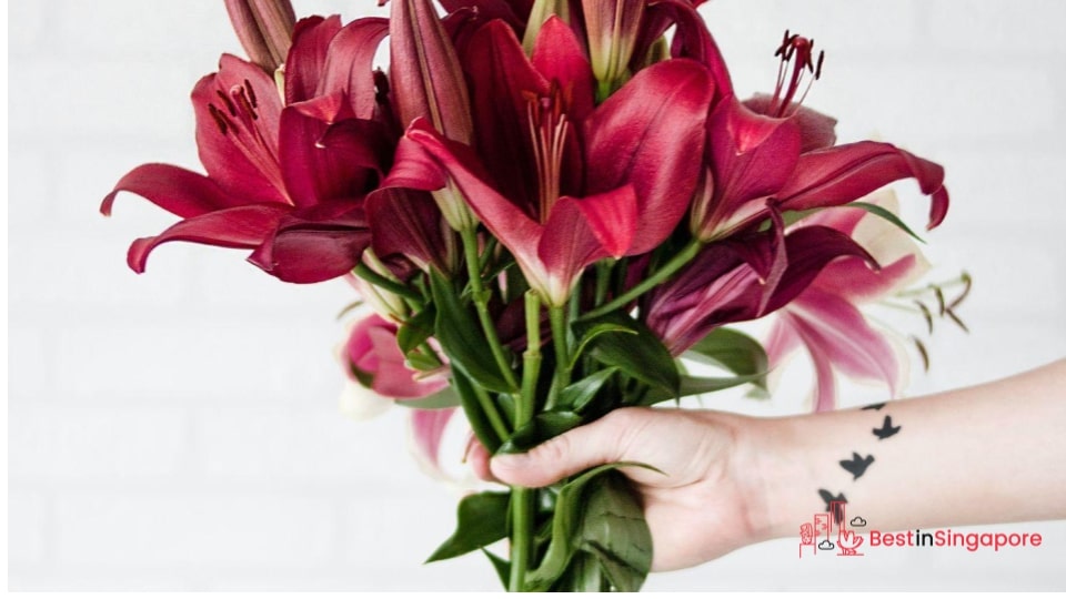 Lilies for Purity
