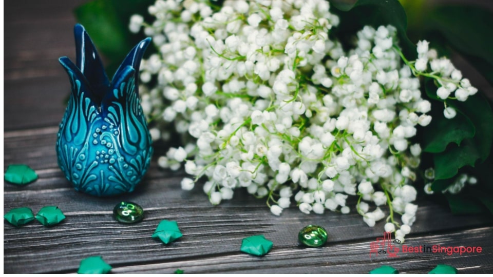 Lily of the Valley