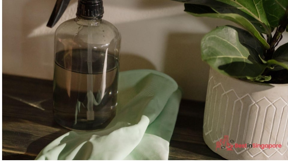 Use an approved carpet cleaning solution