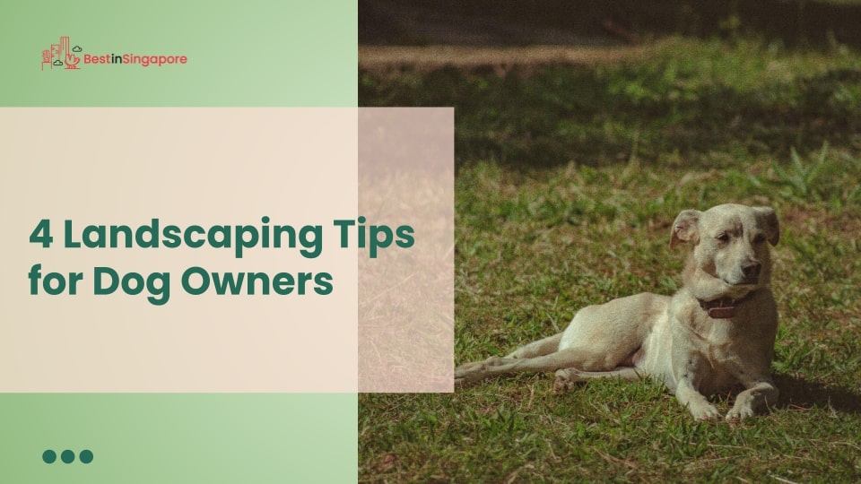 4 Landscaping Tips for Dog Owners