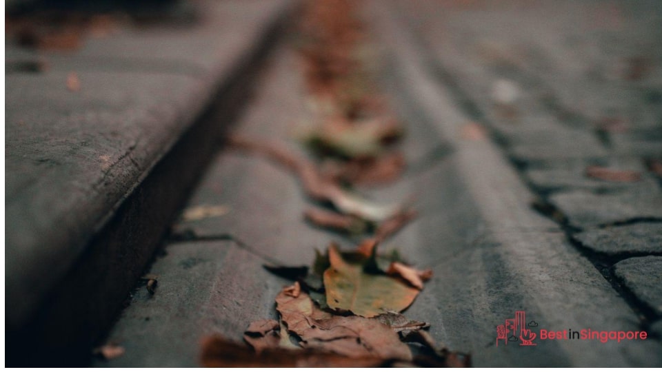 Clean debris by hand or with a wet vacuum