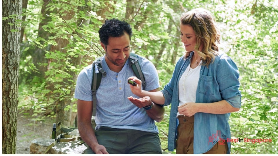 Consider natural insect repellents or plants
