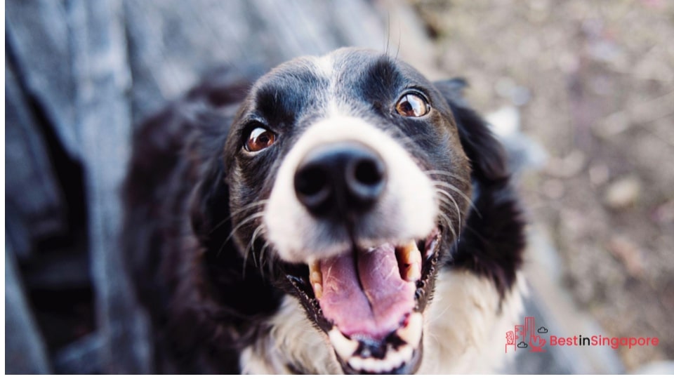 Create positive associations with the crating experience