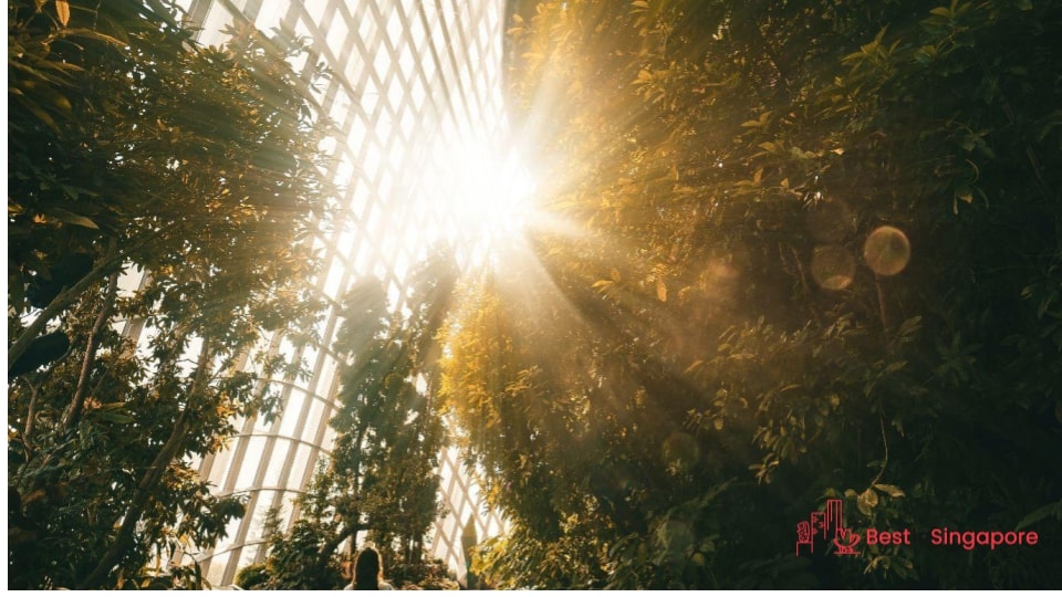 Explore nearby Gardens by the Bay on a bike