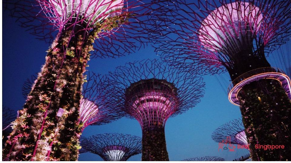 Futuristic Fun Gardens by the Bay