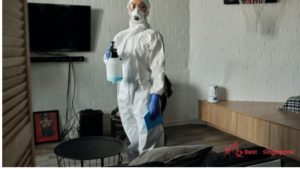 Get professional termite control services