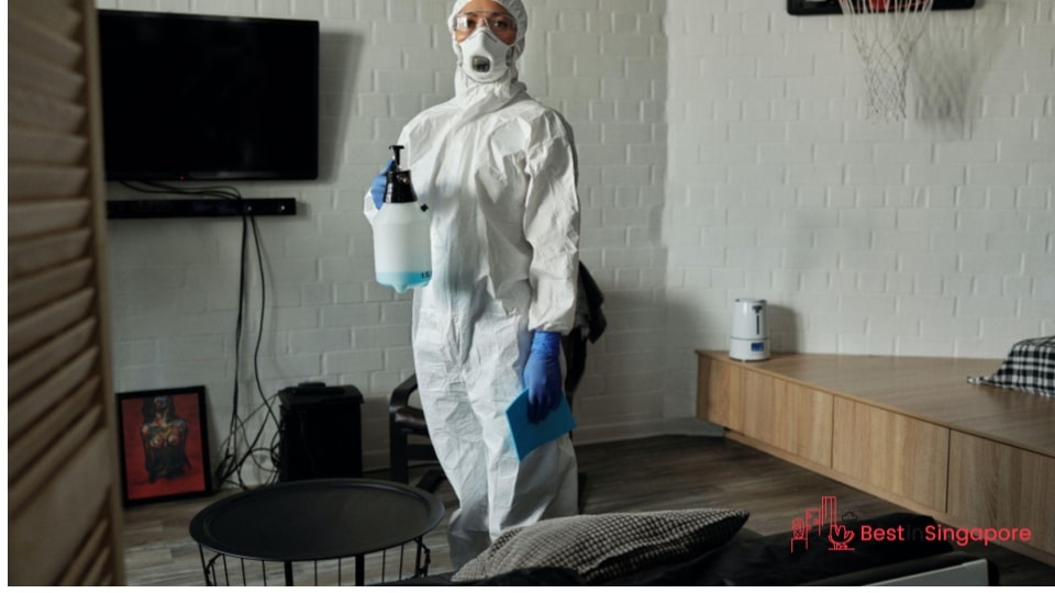 Get professional termite control services