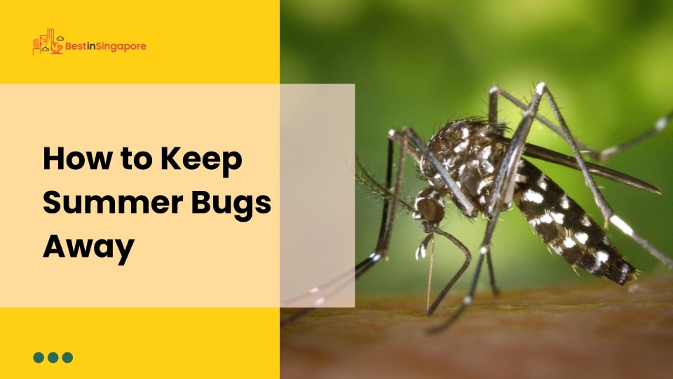 How to Keep Summer Bugs Away
