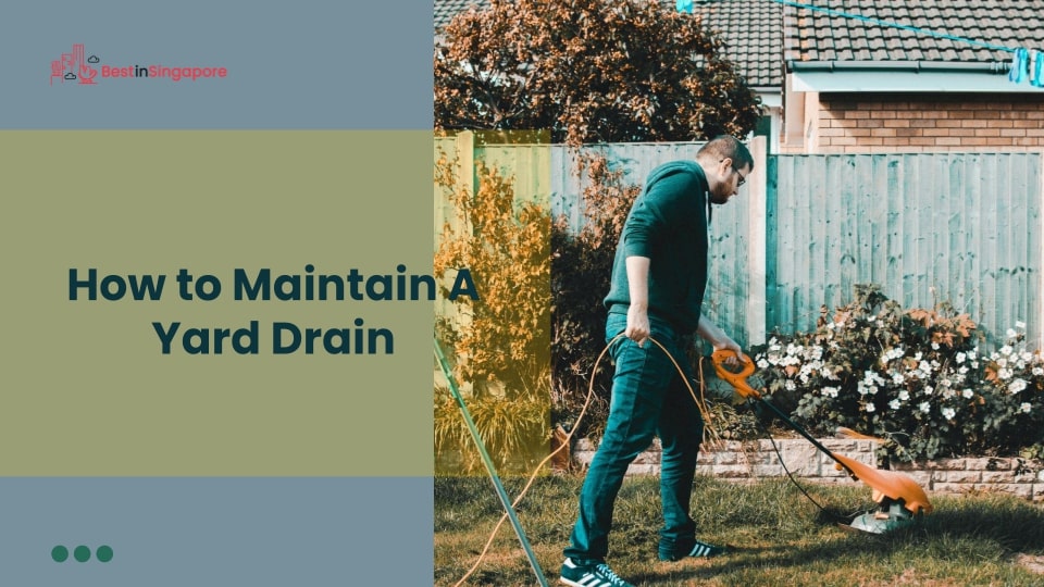 How to Maintain a Yard Drain