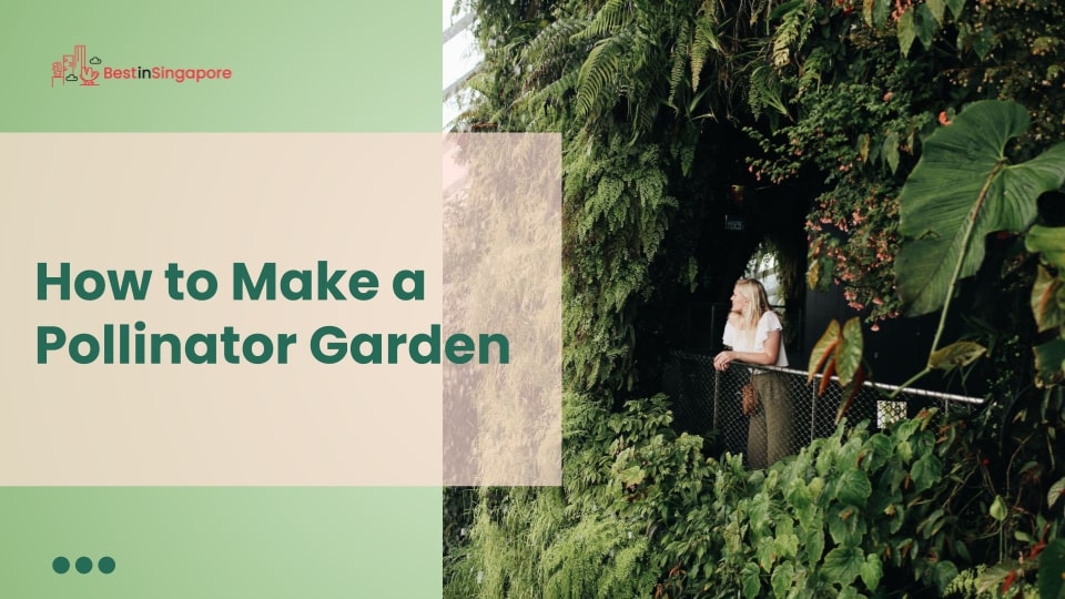 How to Make a Pollinator Garden