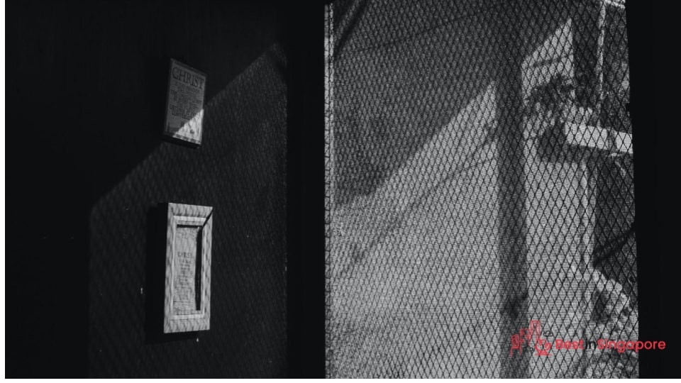Install or repair mesh screens on your doors and windows