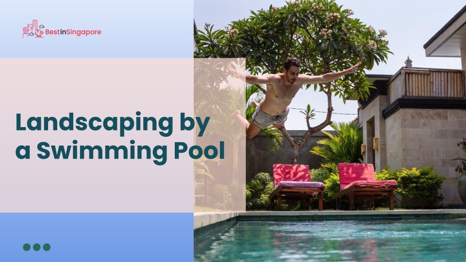 Landscaping by a Swimming Pool