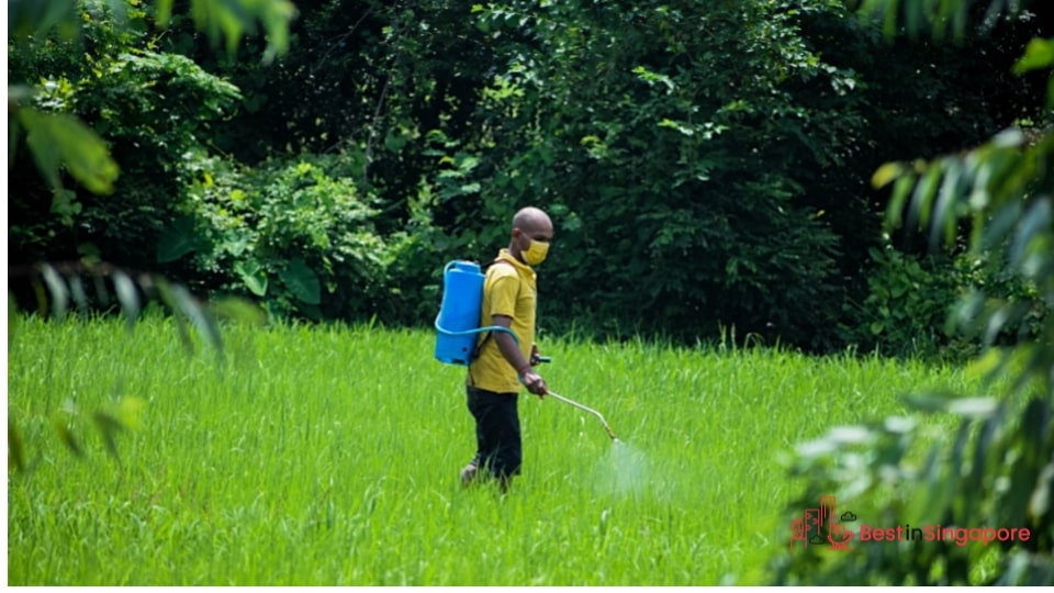 Never use pesticides