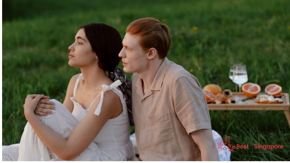 Sunset Picnic in the Vicinity