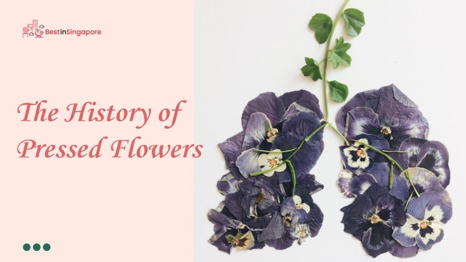 The History of Pressed Flowers