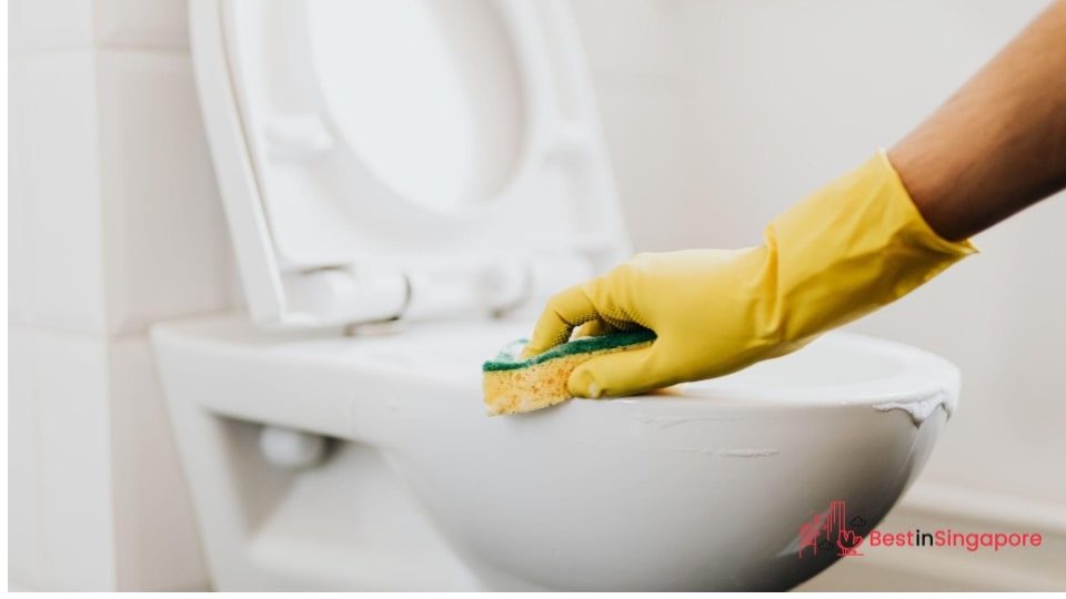 Use distilled white vinegar for mould and mildew
