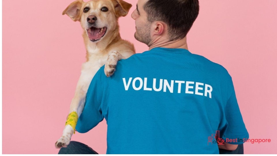 Voices for Animals