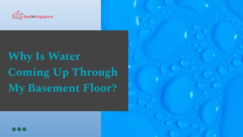 Why is water coming up through my basement floor