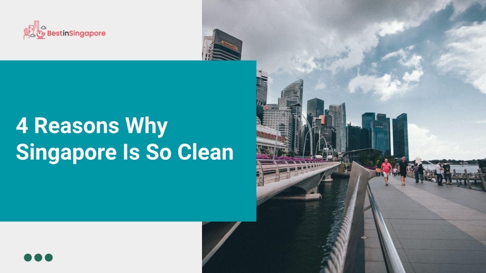 4 Reasons Why Singapore Is So Clean