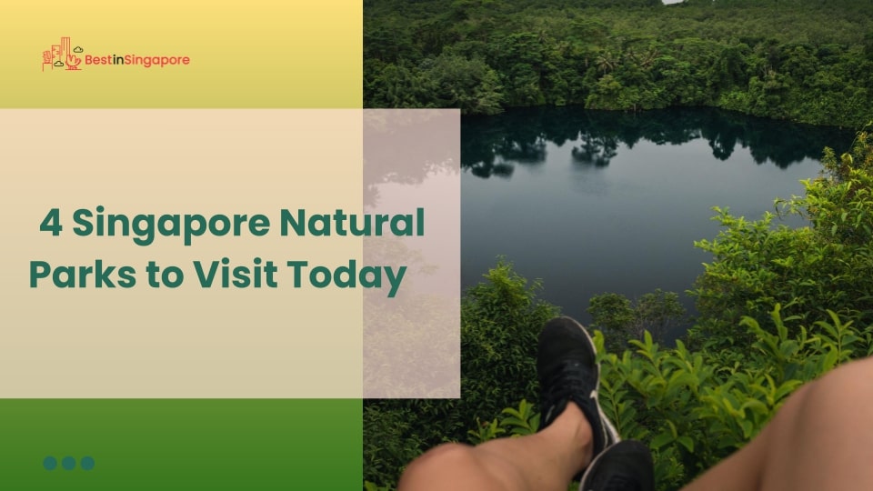 4 Singapore Natural Parks to Visit Today