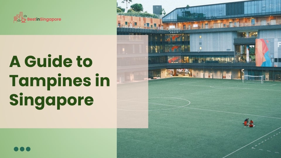 A Guide to Tampines in Singapore