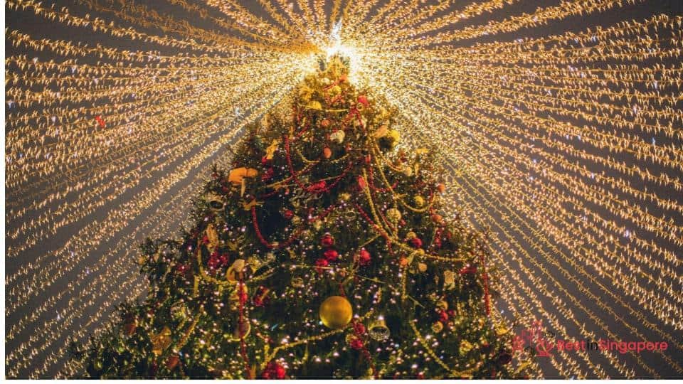 Christmas trees are favourite decorations in commercial and public spaces