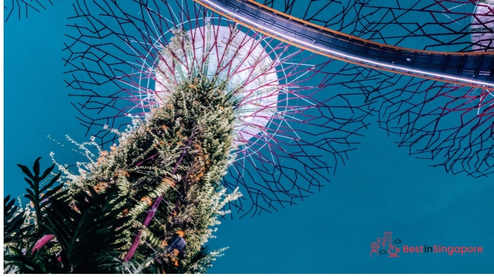 Gardens by the Bay
