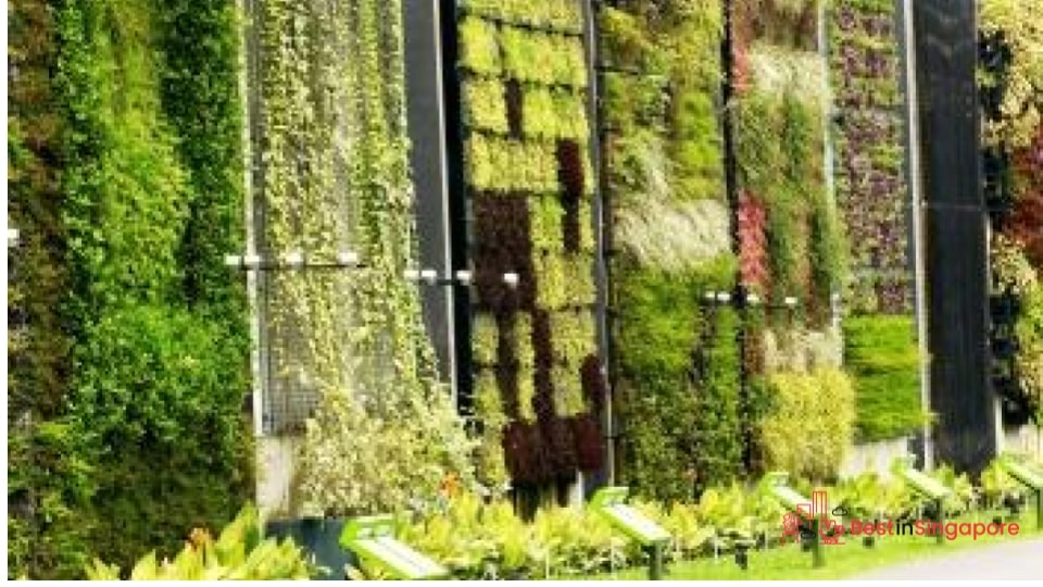 Have a nature immersion at HortPark