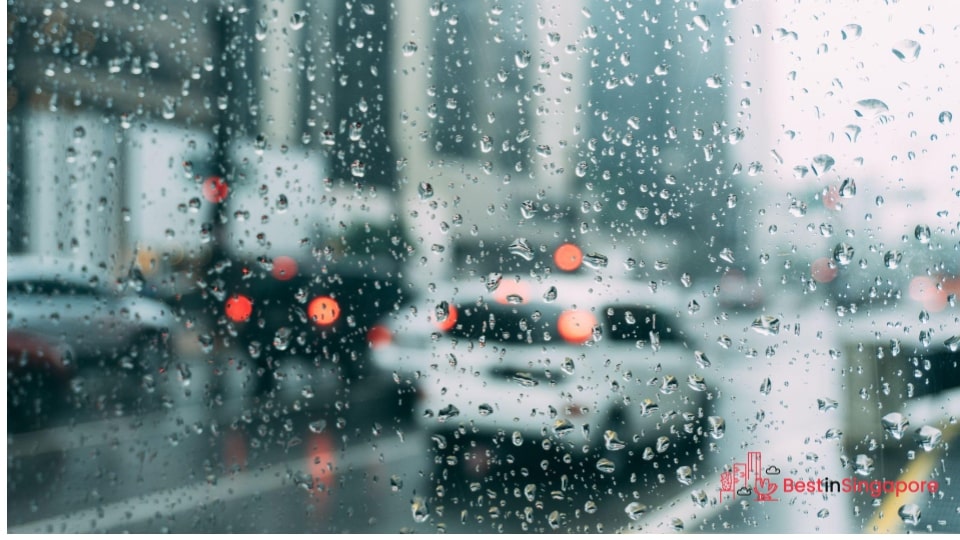 It only has wet and dry seasons