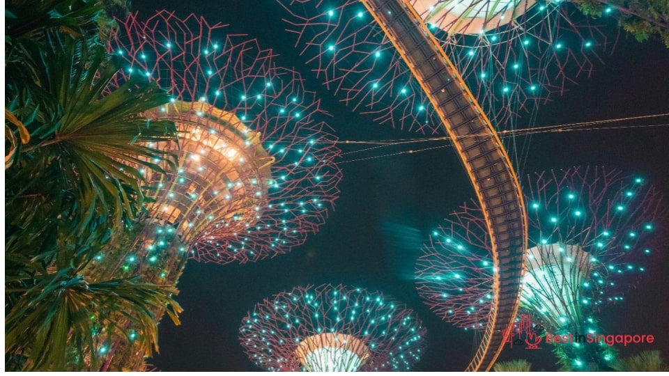Mid-Autumn Festival at Gardens by the Bay