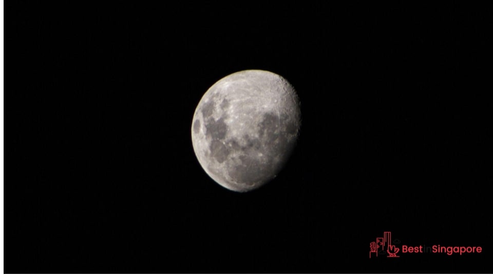 Mooncakes and Moon-Viewing Parties