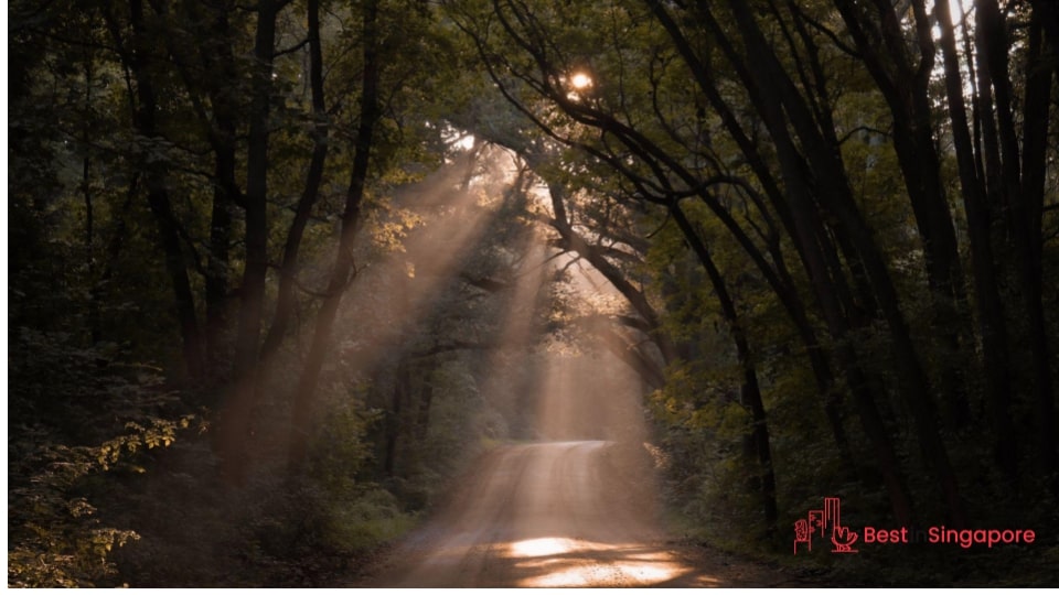 Natural and Man-Made Hiking Trails