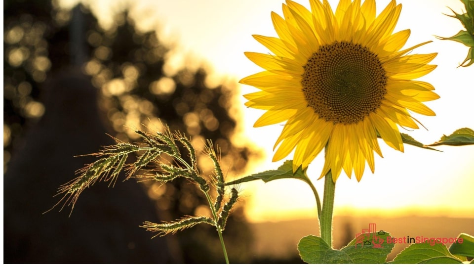 Plan your activities around the day’s temperature