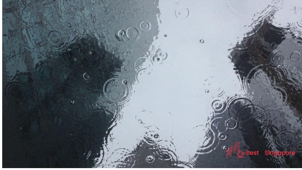 Rainfall averages 167 days in a year