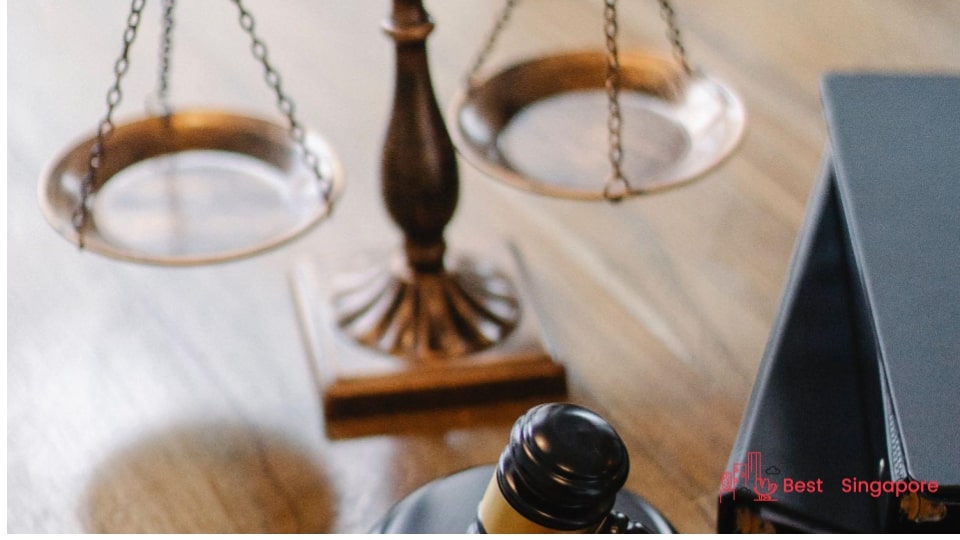 Seek legal recourse via a Community Disputes Resolution Tribunal
