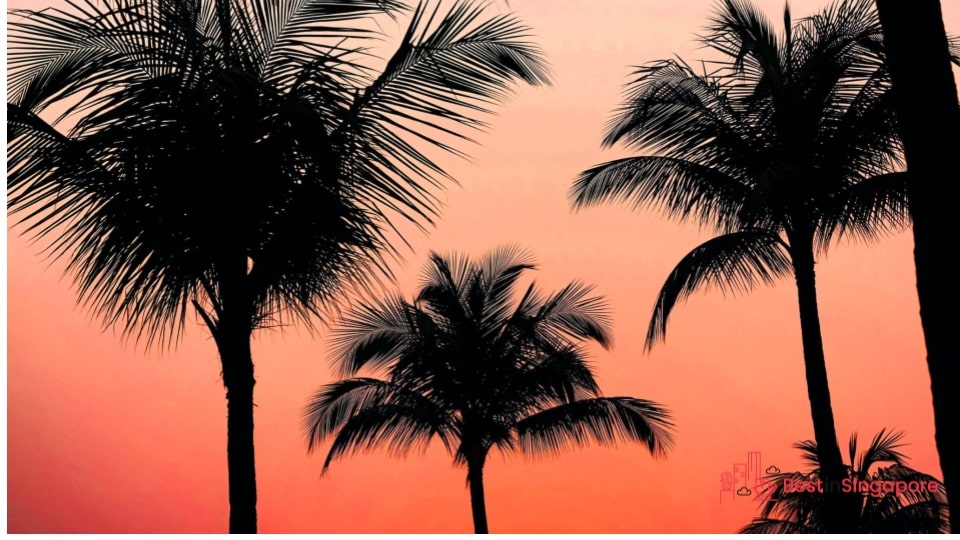 Singapore has a tropical climate