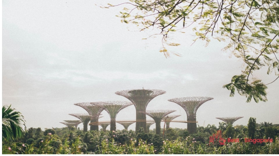 There are also nature spots