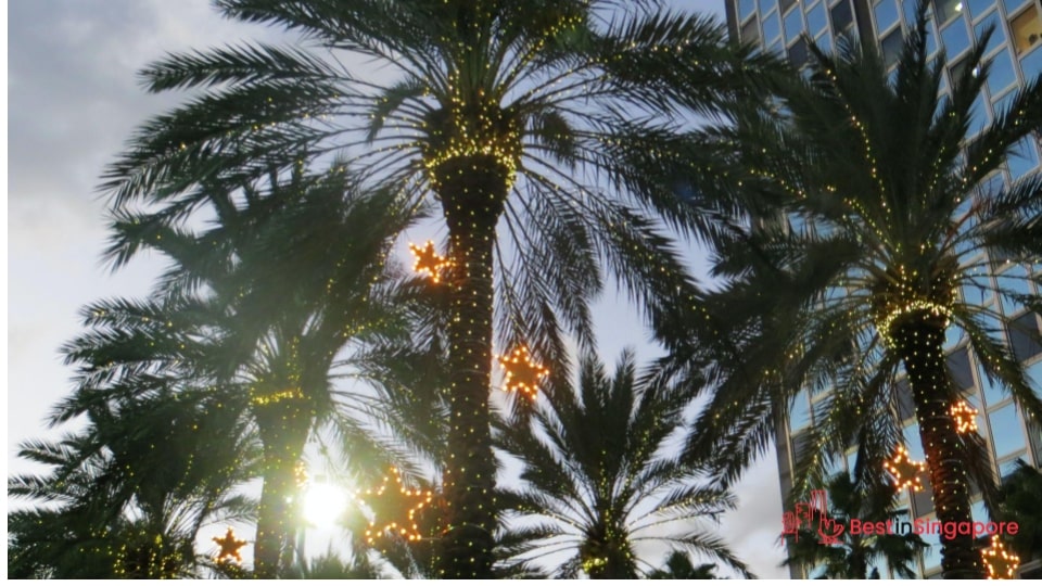 There are annual light displays during Christmas