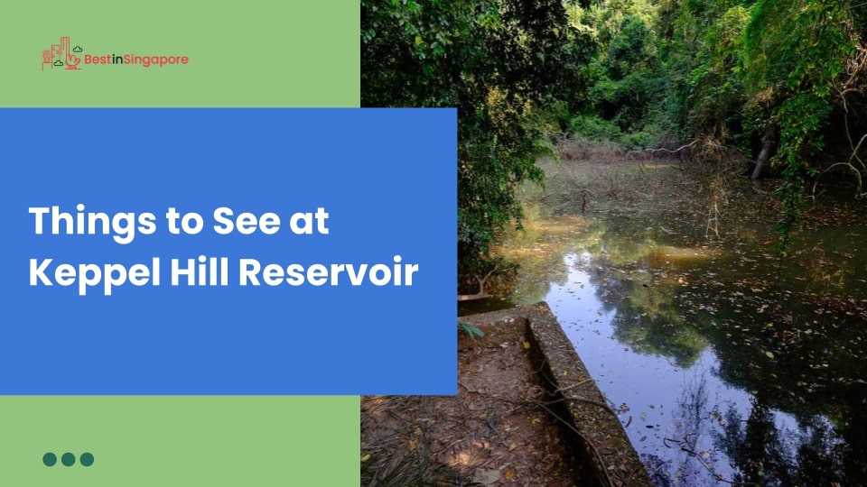Things to See at Keppel Hill Reservoir