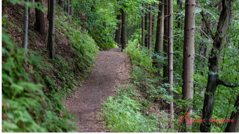 Thomson Nature Park