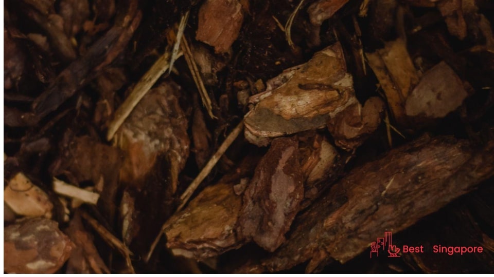 Use mulch against invasive plants