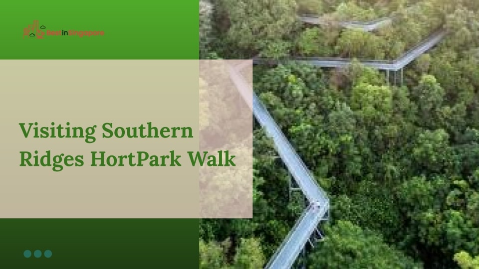 Visiting Southern Ridges HortPark Walk