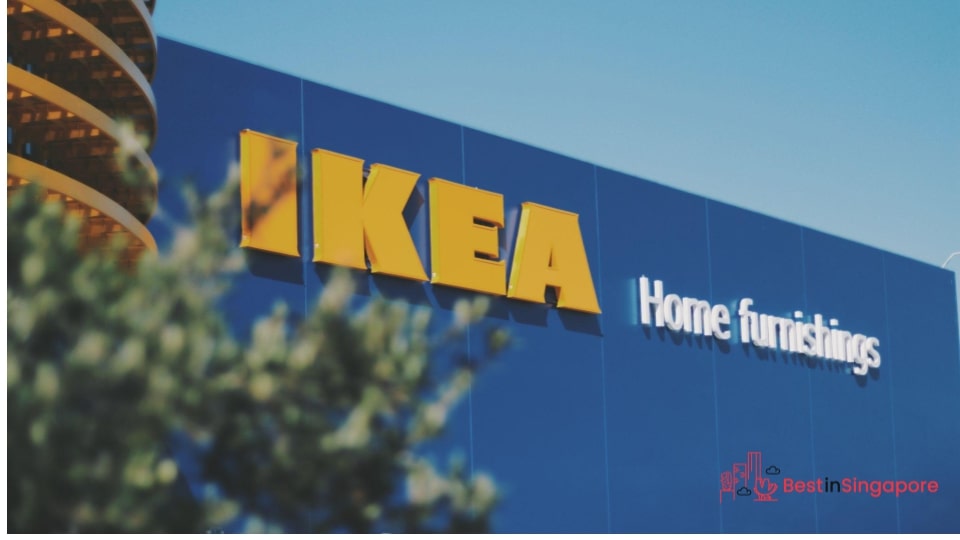 Where to Shop