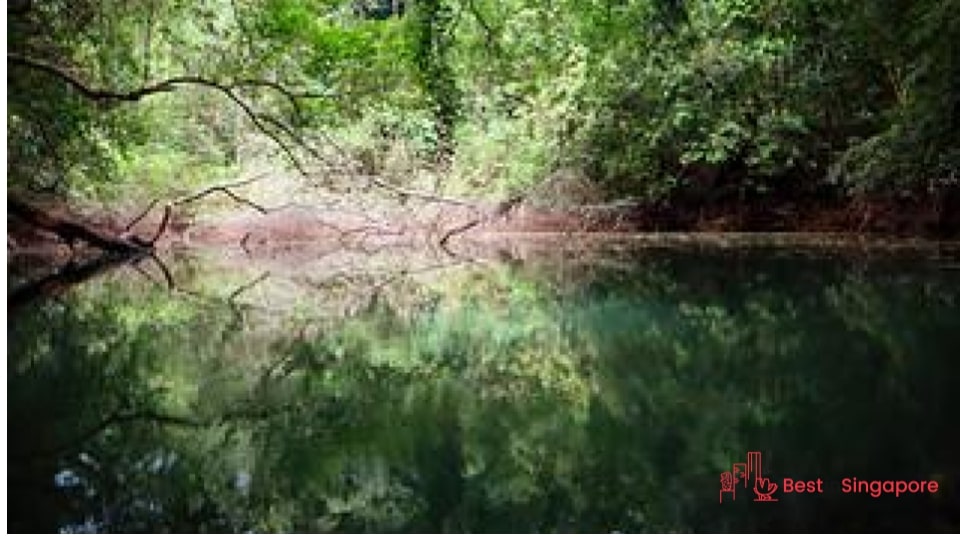 Wildlife Haunted Spots