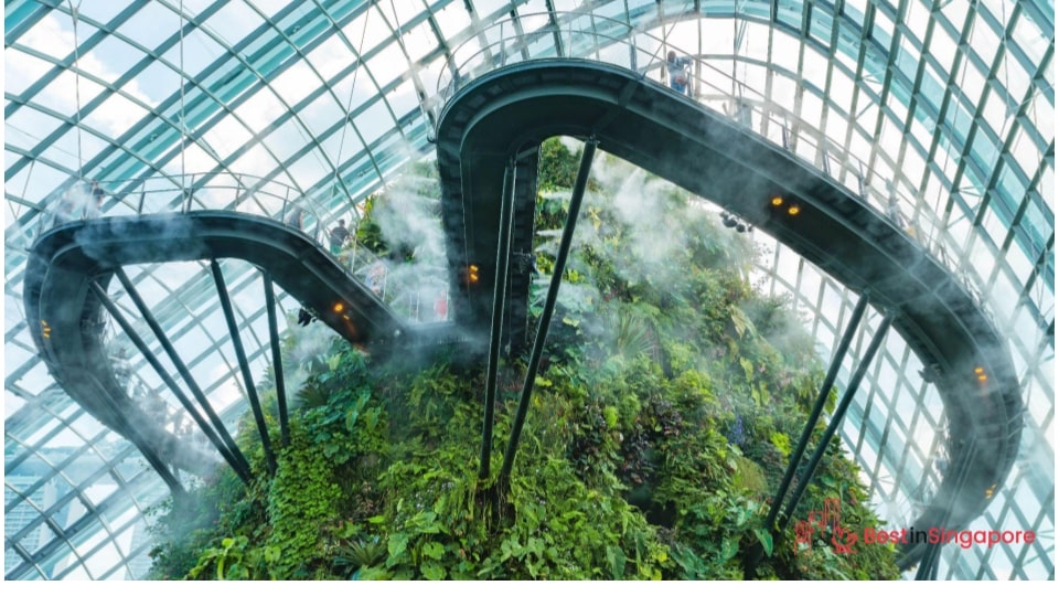 By building an airport that showcases the best of what Singapore has to offer