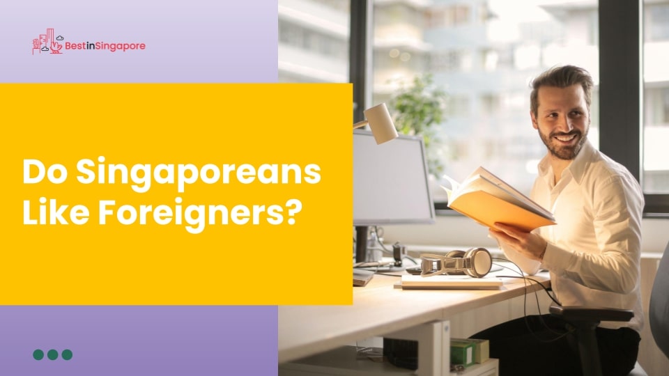 Do Singaporeans like foreigners