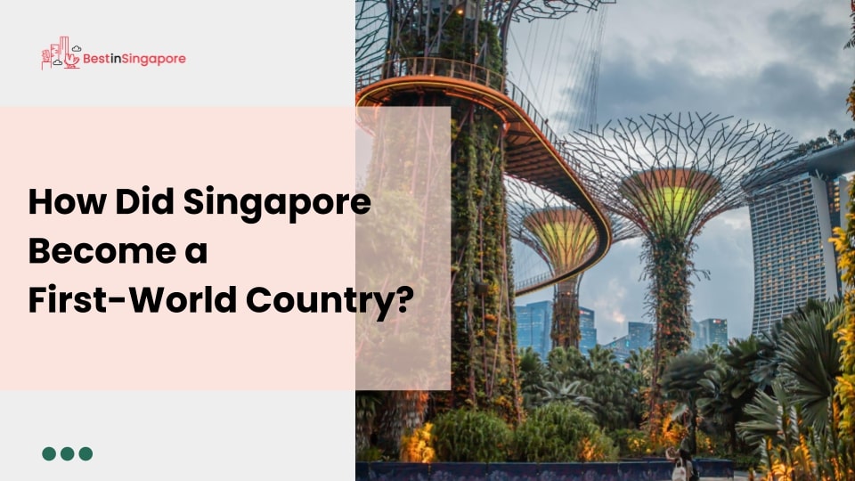 How did Singapore become a first-world country